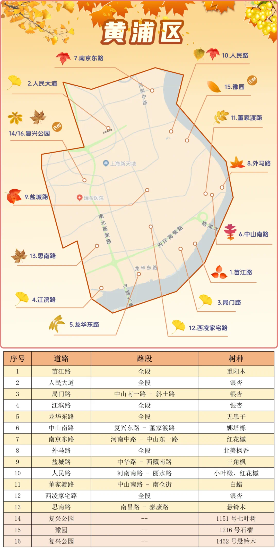 黄浦区赏秋道路大盘点！一起漫步街头，邂逅深秋好时光 - 上海市黄浦区人民政府